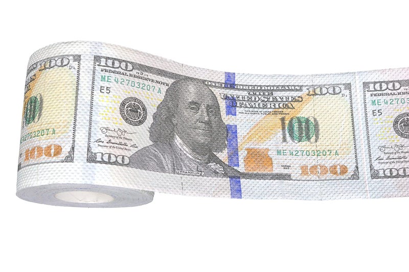Iconikal 240-Sheet Gag Joke Money Toilet Paper, $100 Dollar Bill, 1 Roll - Image 5