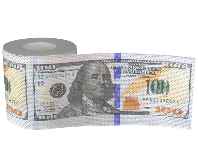 Iconikal 240-Sheet Gag Joke Money Toilet Paper, $100 Dollar Bill, 1 Roll - Image 1