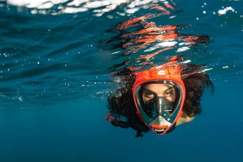 OCEANREEF OCEAN REEF - Aria QR+ Quick Release Full Face Snorkel Mask with Snorkel - 180 Degree Underwater View and Quick Release System (S/M, Red). - Image 3