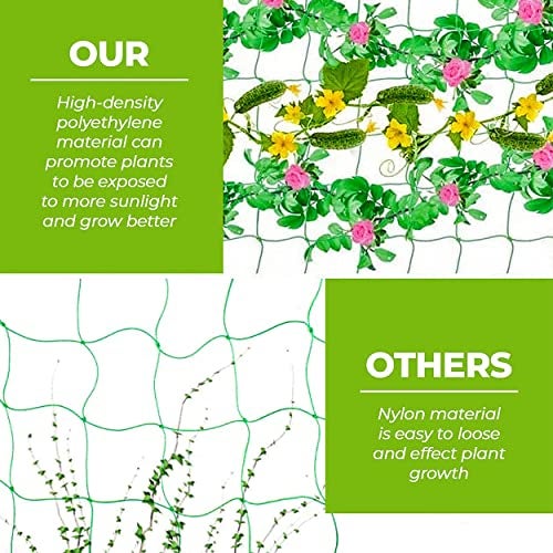 WNE Jaliwale Plant Climbing net & Creeper Net & Plant Trellis Net Plant Support Net Green Color for Agriculture and Gardening Net - 5Feet x 15Feet - Image 4