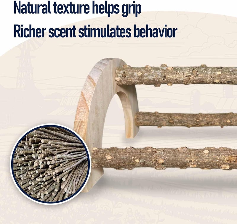 WORLEYX Chick Perch - Natural Wood Chick Roosting Bar for Brooder, Baby Chicken Supplies （1 Pack） - Image 3