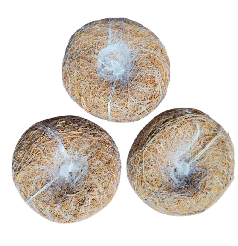 LJL Traders Vetiver Scrub Natural Loofah Pad-Handmade Ayurvedic Kerala Ramacham Scrubber Made Of Khus Roots-Skin Exfoliating Organic Round Shower Loofah & Bath Sponge Body Brush (Pack of 3) - Image 1