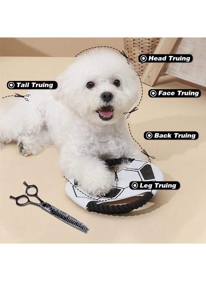 جيسون مقص جيسون تشونكر للعناية بالكلاب، مقاس 7 بوصات، مقص مريح للعناية بالحيوانات الأليفة، مقص رقيق ومدمج، مقص تشذيب القطط، مع مقبض منحرف، من الفولاذ المقاوم للصدأ، خفيف الوزن، حاد، آمن، مريح - Image 5