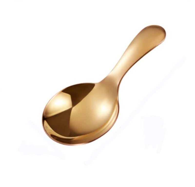 LYZWJQ&LXD wjqlinyuzi 1Pc Short Handle Dessert Spoon Stainless Steel Sugar Salt Spice Spoon Condiment Tea Coffee Scoop Kitchen Tools Small Kids Spoon gold 001 9x45cm 
