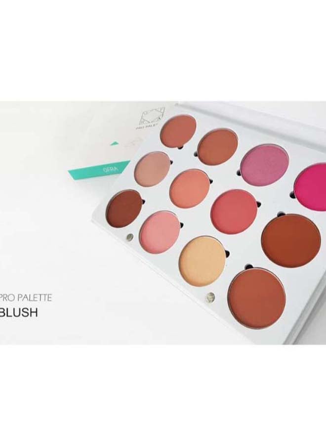 OFRA Professional Palette Blush - Image 4