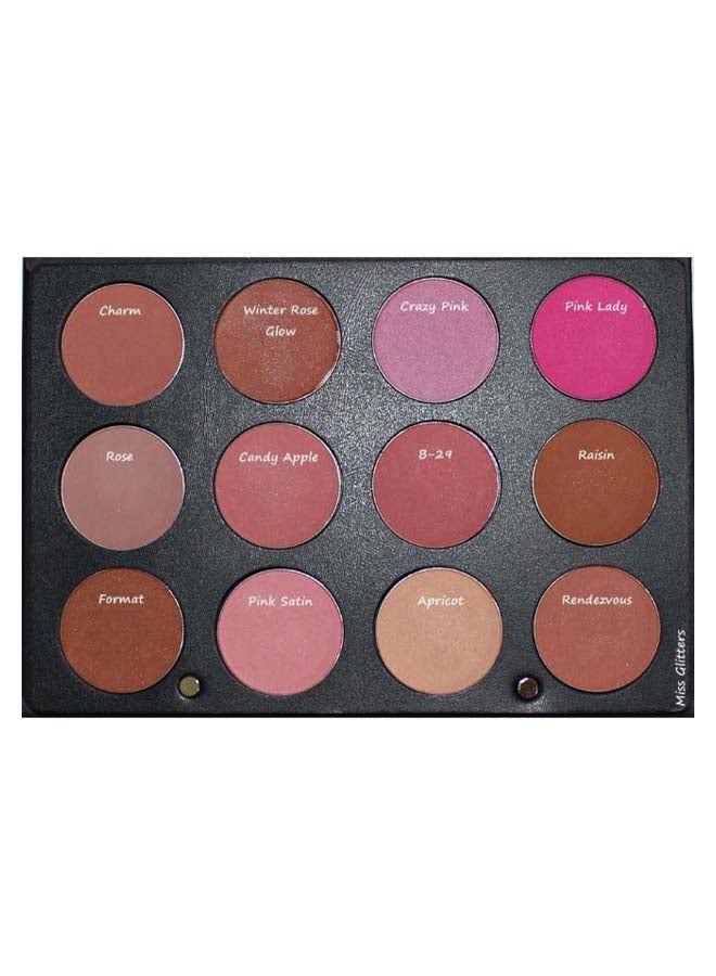 OFRA Professional Palette Blush - Image 5