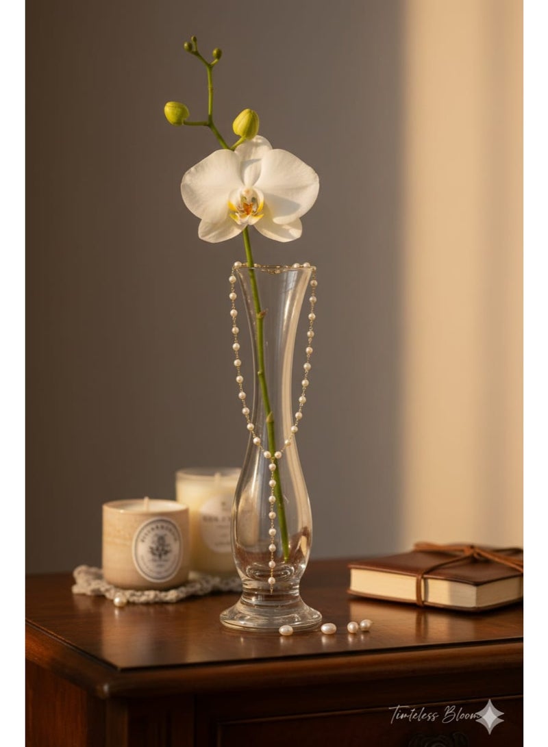 Elegant Y-shaped pearl necklace for women – a luxurious gold chain perfect for evenings and special occasions. - Image 3