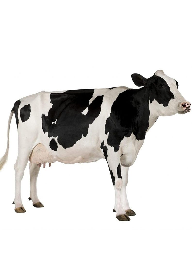 Green Future Generic Cow Manure 100% Natural Organic Fertilizer 16kg | Made In UAE - Image 3