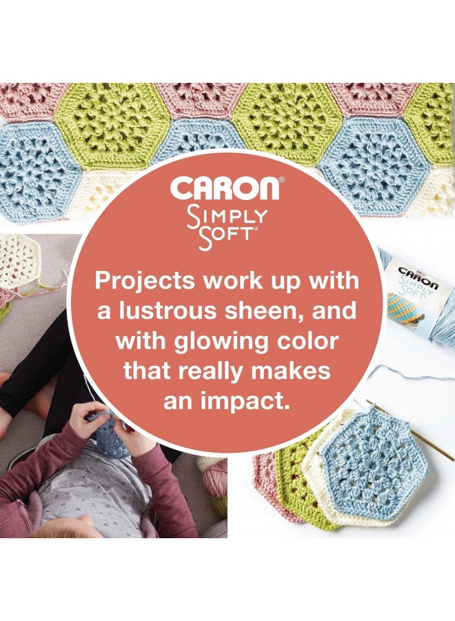 Caron Simply Soft Solids Yarn (4) Medium Gauge 100% Acrylic - 6 oz - Sage - Machine Wash & Dry - Image 5