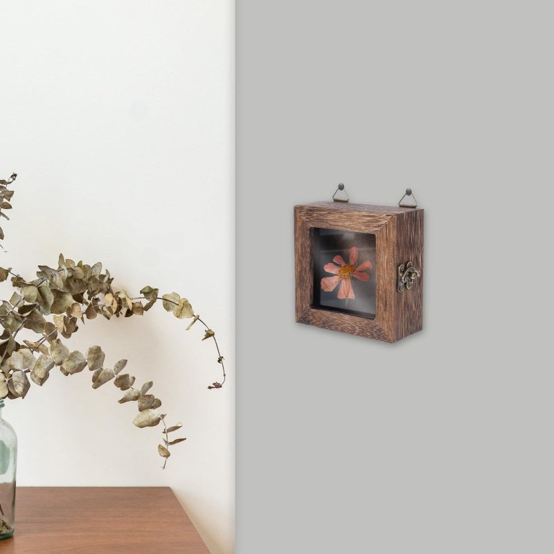 صندوق عرض زجاجي معلق قديم 10×10×4.5 سم مع غطاء مفصلي لحشرات وفراشات وزهور مجففة وديكور حائط كربوني - Image 5