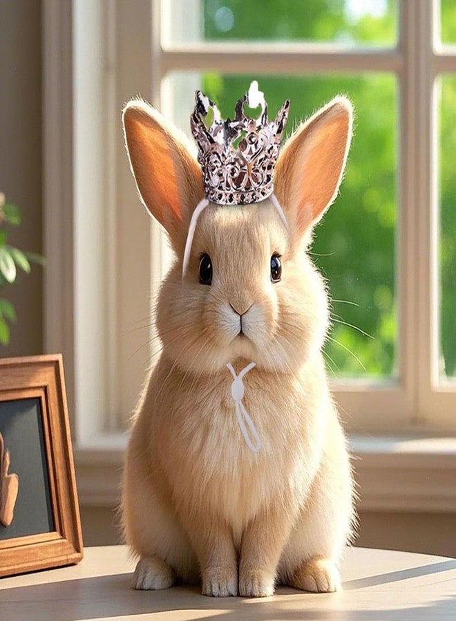NUOSYI 1PCS Crown Tiara Headband for Cat Dogs Puppy Birds Ducks Chicken Rabbit Hamster Pets Party Birthday Grooming Hair Accessories(Silver, Elastic) - Image 5