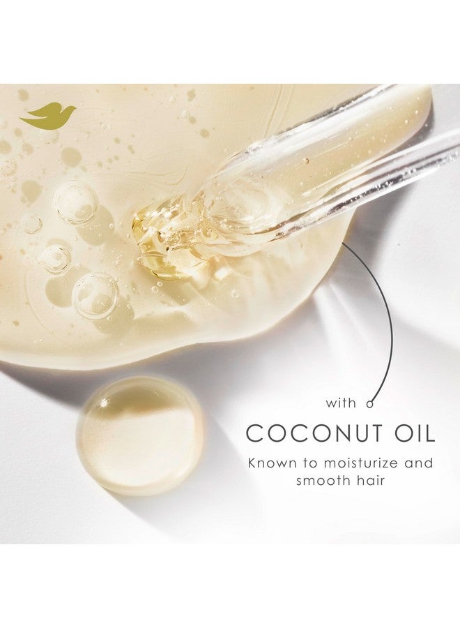 دوف مجموعة شامبو وبلسم دوف - DermaCare Scalp Dryness & Itch Relief، شامبو وبلسم بيريثيون الزنك، مضاد للقشرة، مضاد للتجعد، للعناية بالشعر التنعيم، 12 أونصة (مجموعة مكونة من قطعتين) - Image 4