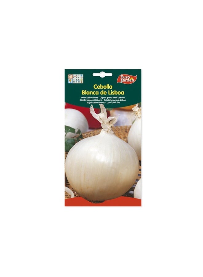 Euro Garden Country White Onion Seeds - Big