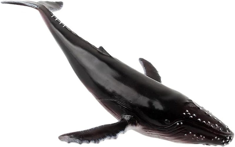 كلاراكو مجموعة ألعاب حيوانات بحرية للأطفال الصغار، هدية مثالية لأعياد الميلاد والكريسماس، مصنوعة من البلاستيك، تتضمن 4 أشكال، منها حوت أحدب أسود. - Image 2