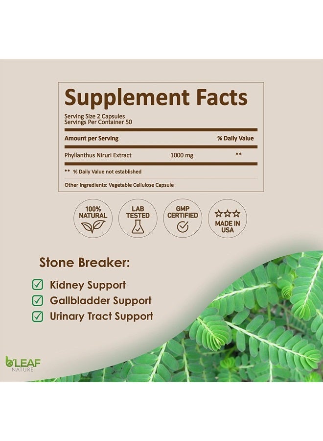 b'leaf NATURE مستخلص شنكه بييدرا 1000 ملغ - دعم المسالك البولية والمرارة - 100 كبسولة نباتية - Image 2