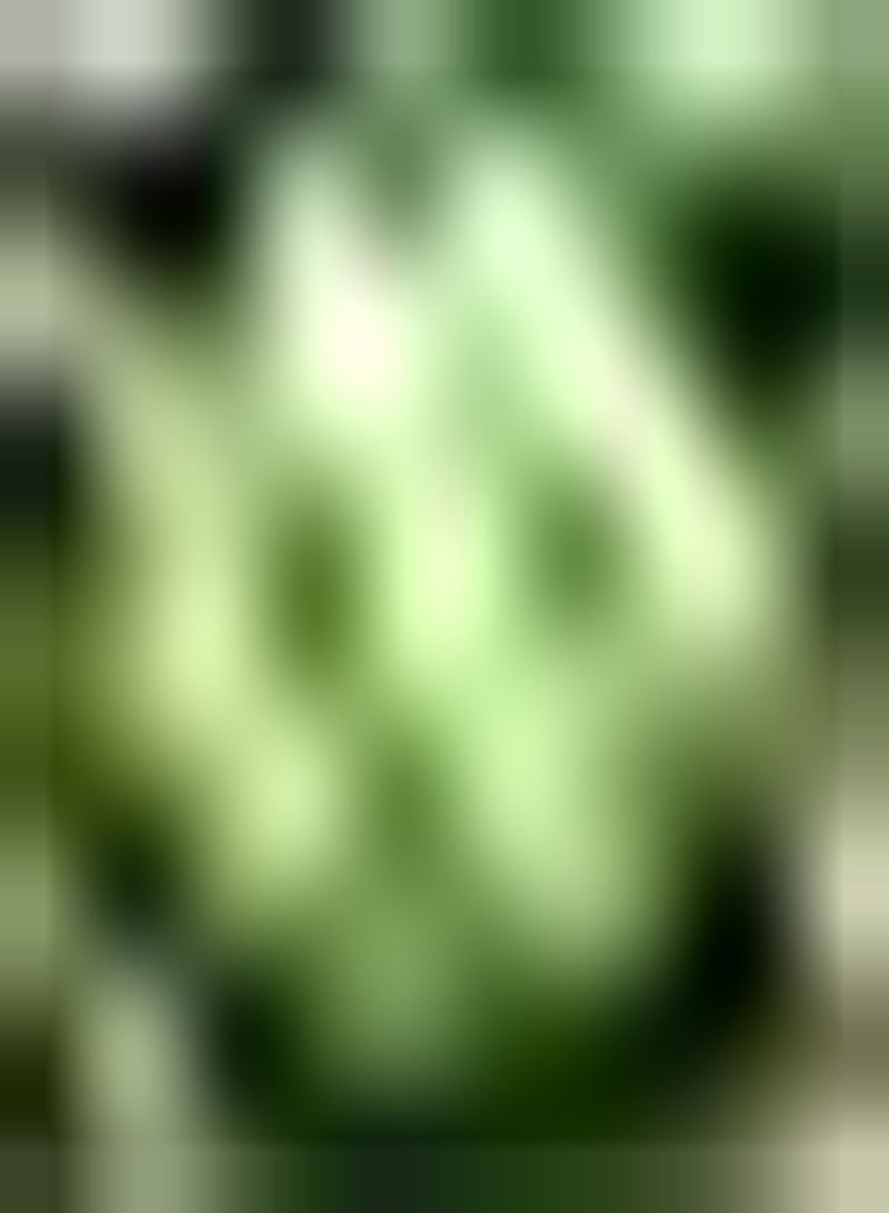 جي جوت 30 قطعة من بذور البطيخ تقضي على الشعور بالحرارة وتتحمل الجفاف، بطيخ صالح للأكل، نمو طبيعي يُضيء حديقتك - Image 1