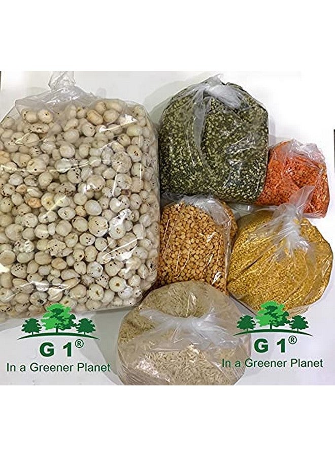 G1 G 1 Transparent Bags | Multipurpose Grocery | Packaging Bags | 51 Microns Thickness | 1000 Grams | 100 Pieces - Image 2