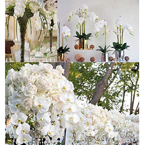 FagusHome 32" Artificial Phalaenopsis Flowers 6 Pcs with 4 Bundles Leaves Artificial Orchid Flowers Stem Plants for Home Décor (6Pcs) - Image 3