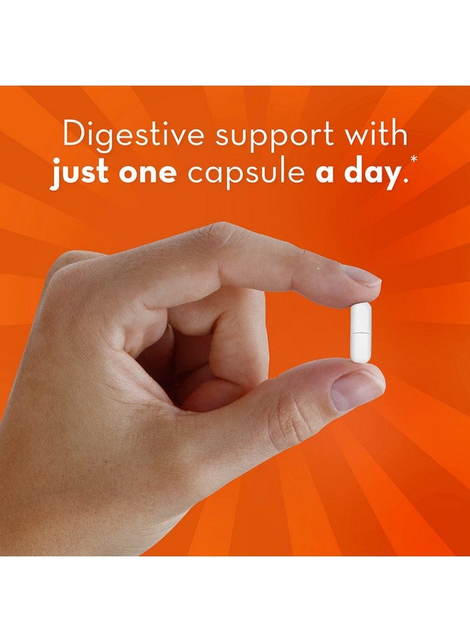 Align Probiotic Probiotics For Women And Men Daily Probiotic Supplement For Digestive Health* 1 Recommended Probiotic By Doctors And Gastroenterologists‡ 42 Capsules - Image 4