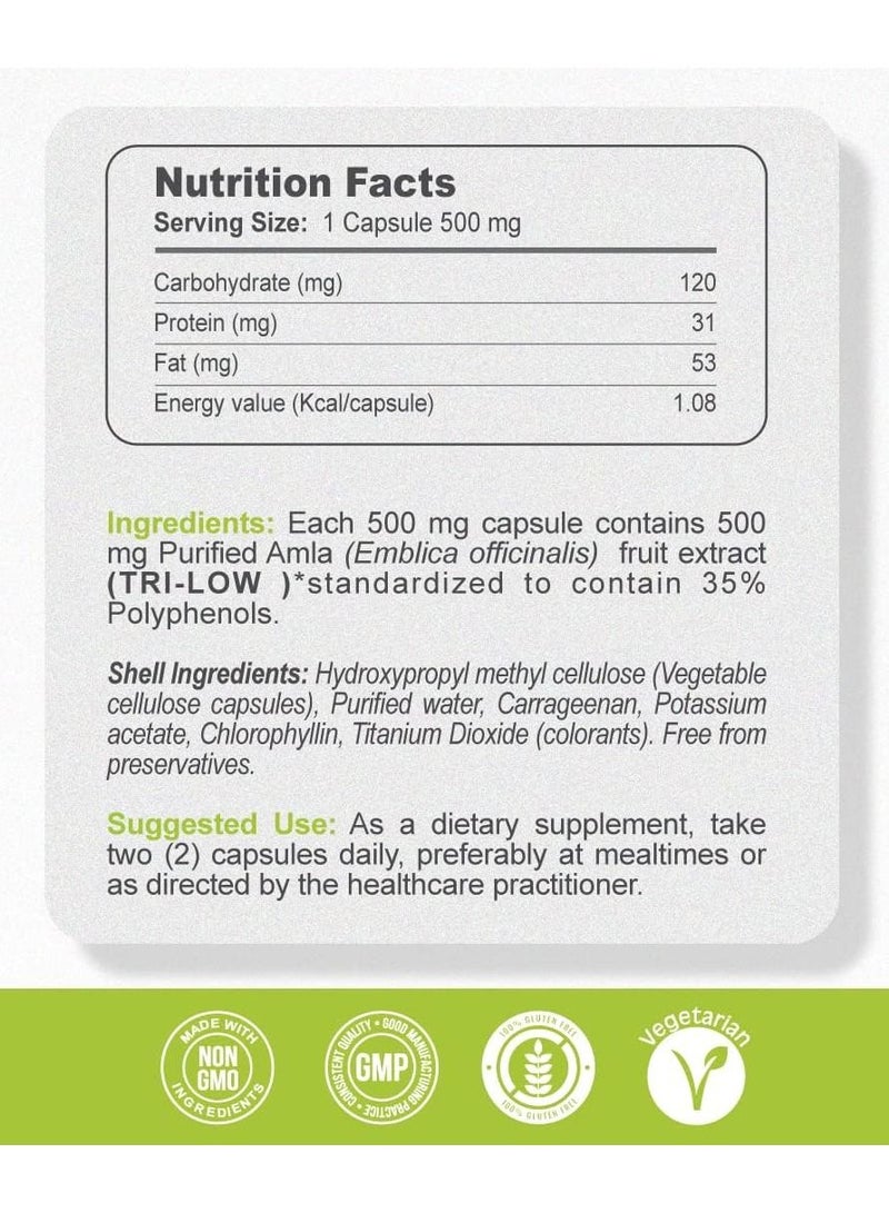 غاردينو أملا (عنب الثعلب الهندي) 500 مجم مستخلص حاصل على براءة اختراع / مستويات كوليسترول صحية ، يدعم صحة القلب والأوعية الدموية ومصدر غني بفيتامين سي الطبيعي / 60 كبسولة نباتية - Image 2