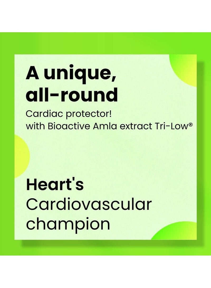 غاردينو أملا (عنب الثعلب الهندي) 500 مجم مستخلص حاصل على براءة اختراع / مستويات كوليسترول صحية ، يدعم صحة القلب والأوعية الدموية ومصدر غني بفيتامين سي الطبيعي / 60 كبسولة نباتية - Image 4