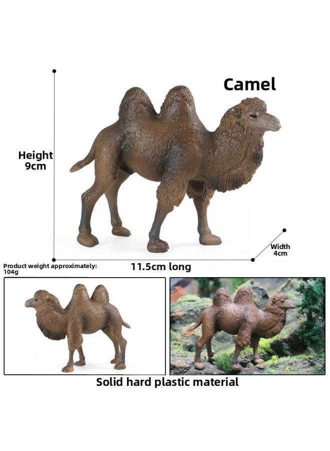 محاكاة نماذج للحيوانات الزرافة الفيل الكركدن الدب البني النمر الأسد الفهد فرس النهر لعبة المعرفية الصلبة الحلي-اللون: M-879 البني Bactrod الجمل - Image 1