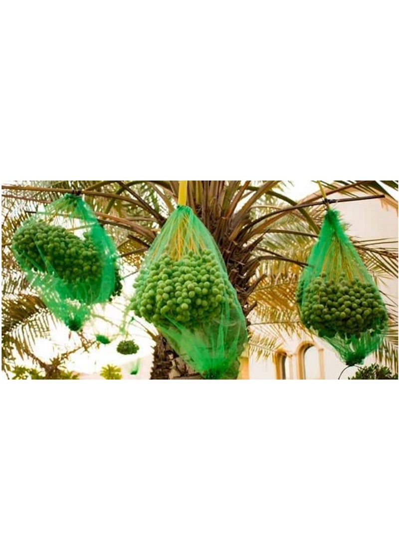 راكو غطاء شبكي للتمور 65x95 سم بحبل أسود قوي ، كيس نخيل التمر / كيس كاجور ، مناسب لحماية التمور على الشجرة. حزمة من 50 - Image 4