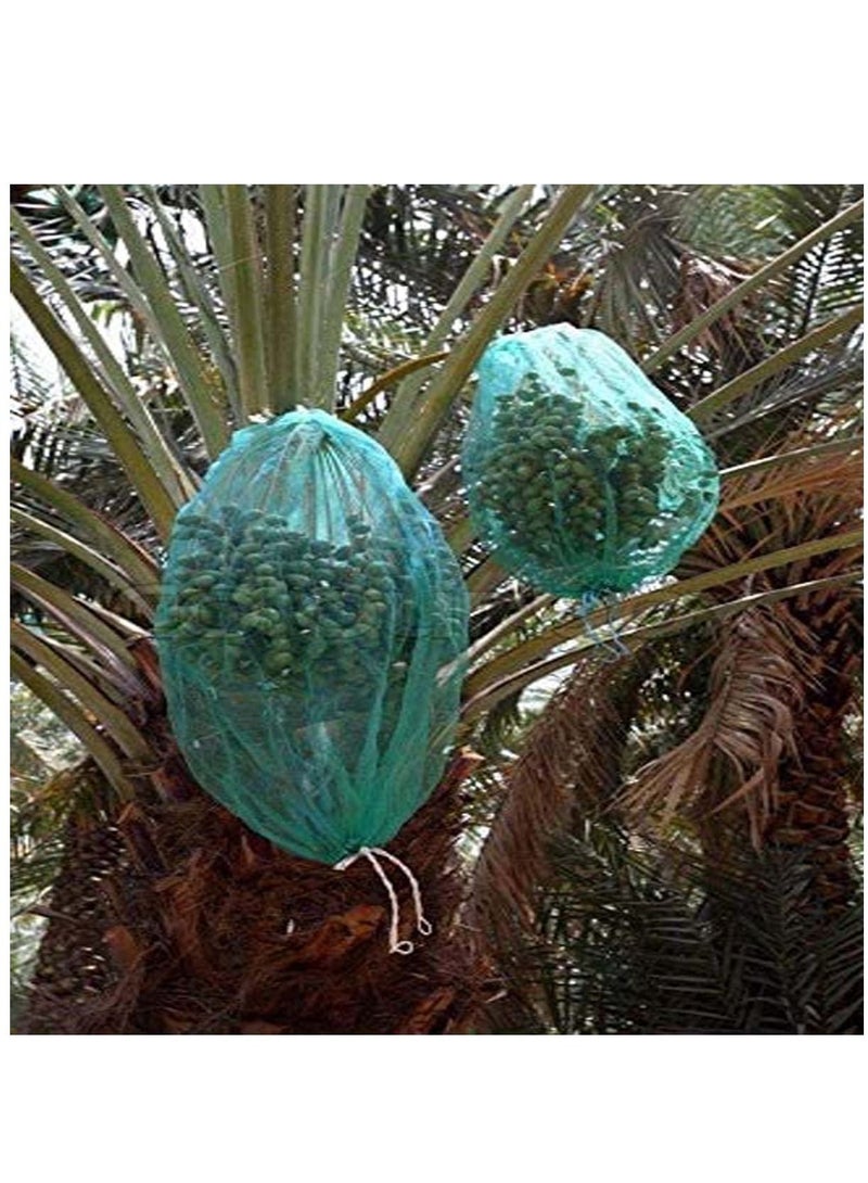 راكو غطاء شبكي للتمور 65x95 سم بحبل أسود قوي ، كيس نخيل التمر / كيس كاجور ، مناسب لحماية التمور على الشجرة. حزمة من 50 - Image 3