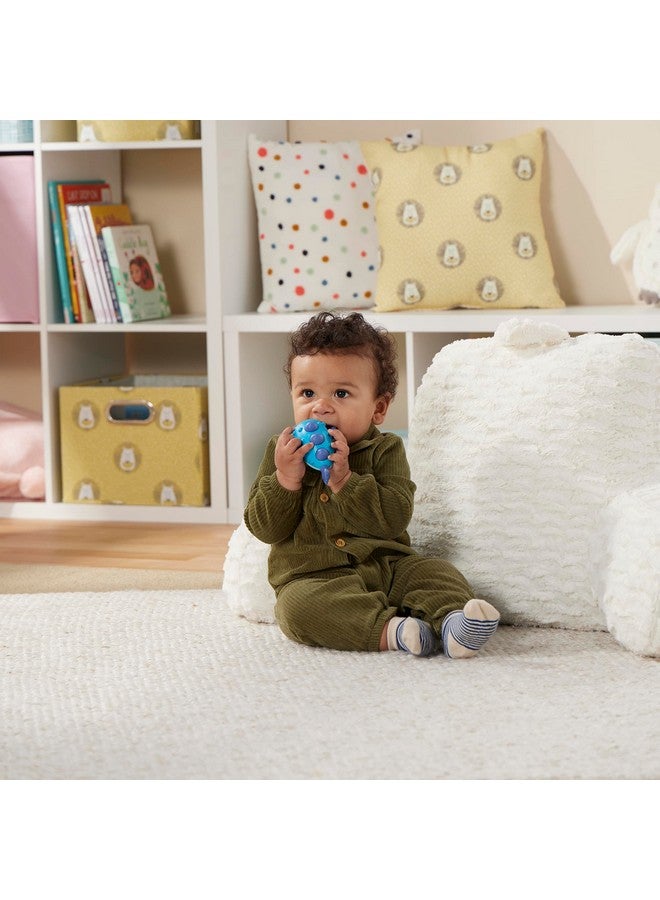 Playskool Little Wonders - Paulie Pufferfish - Tactile Sensory Play Infant Toy - Help Develop Fine Motor Skills - Ages 6 Months and Up - Image 5