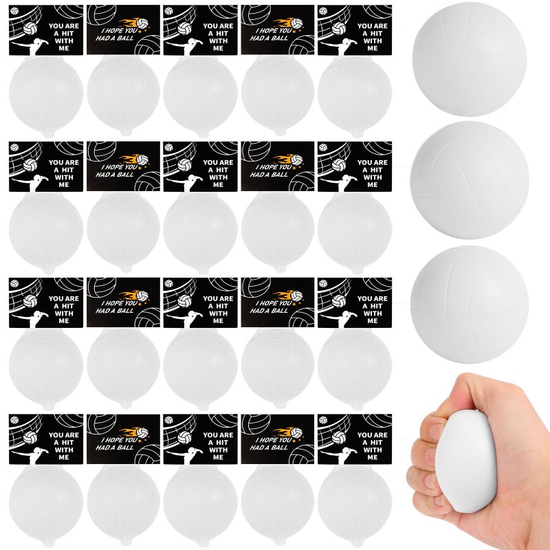 Liyiq 24Pcs Volleyball Party Favors 2.36 Inch Volleyball Stress Balls For Kids Volleyball Birthday Favors Foam Volleyball Birthday Decorations Volleyball Goodie Bag Stuffers - Image 1