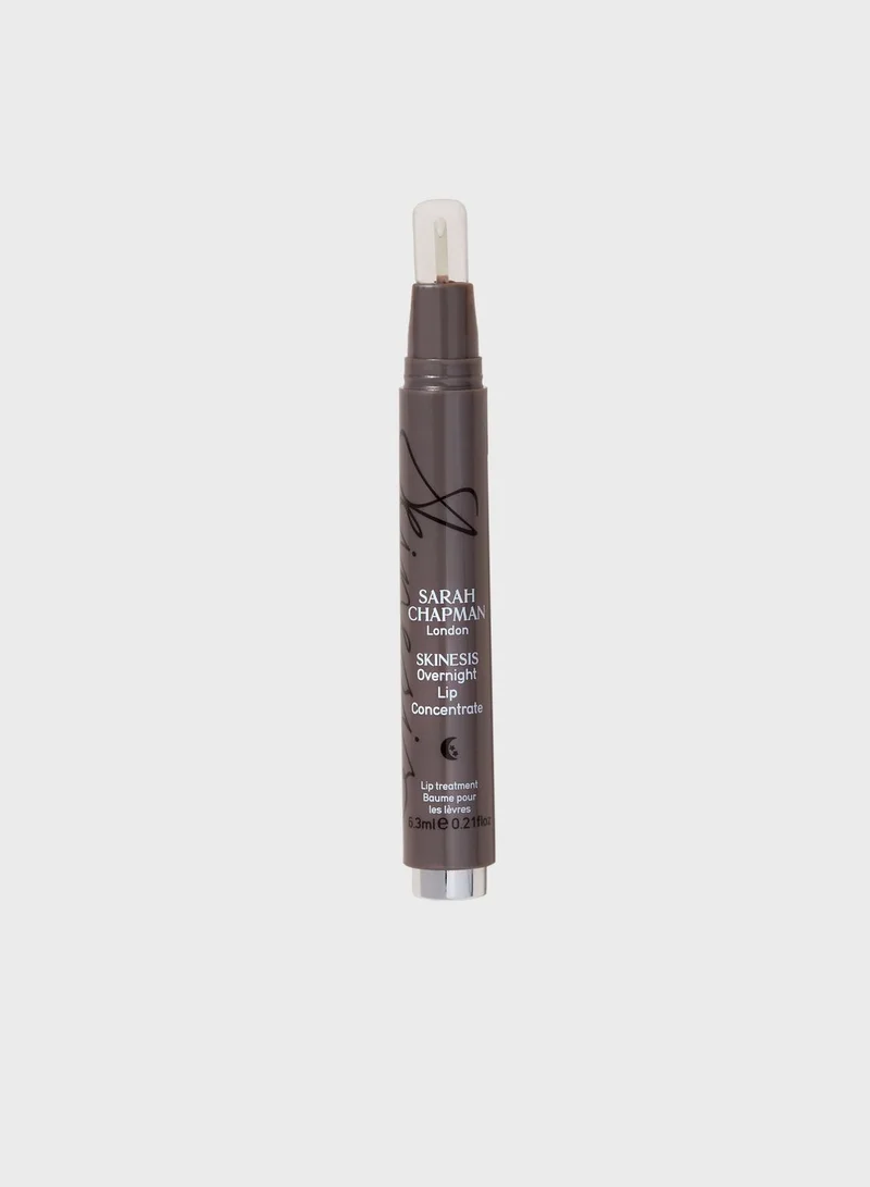 Sarah Chapman Overnight Lip Treatment