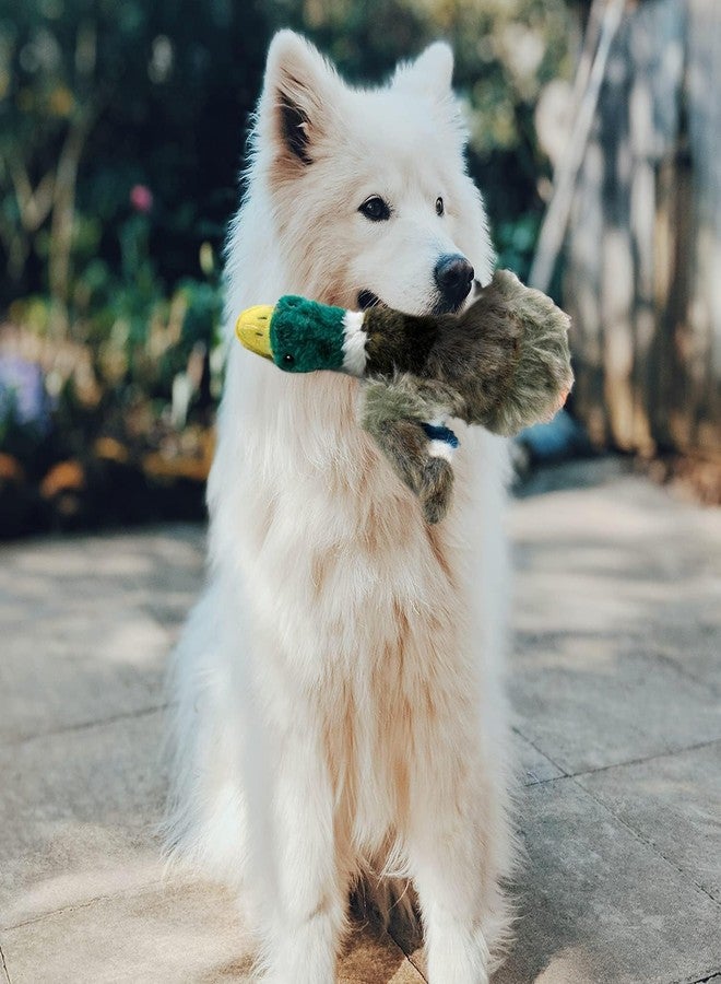ALL FOR PAWS Duck Squeaky Doy Toy, Duck Dog Toy for Small Medium Breed, Puppy Fetch Toy with Squeaker, Plush Chew Dog Toy, 7.9 x 7.5 x 2 inches, Classic - Mallard S - Image 3