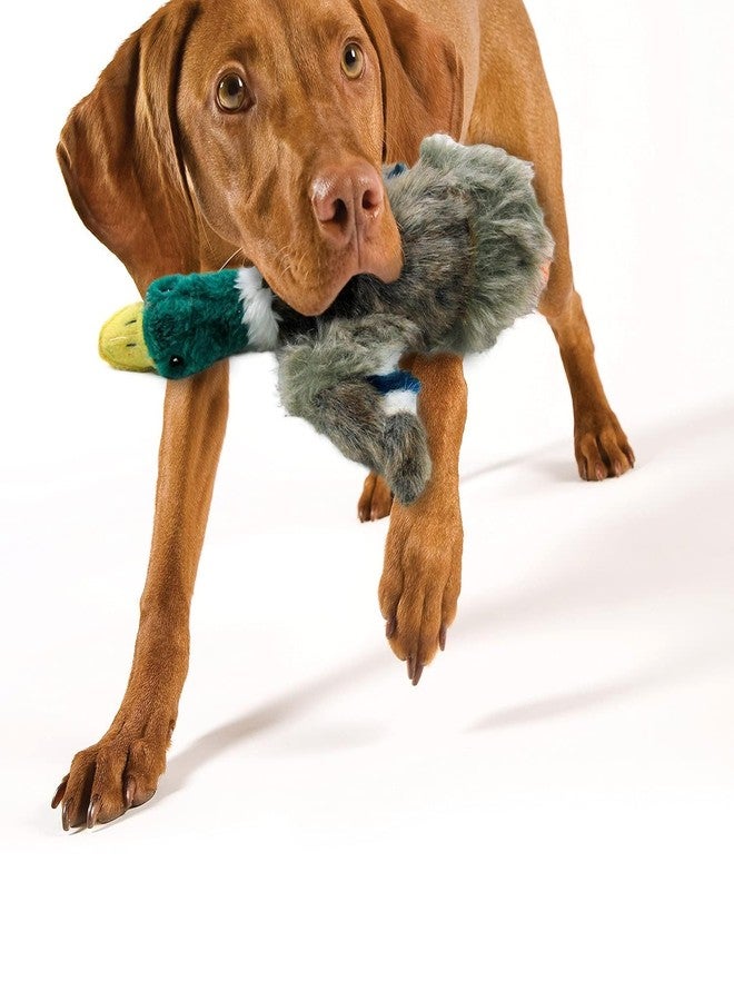 ALL FOR PAWS Duck Squeaky Doy Toy, Duck Dog Toy for Small Medium Breed, Puppy Fetch Toy with Squeaker, Plush Chew Dog Toy, 7.9 x 7.5 x 2 inches, Classic - Mallard S - Image 5