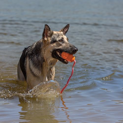 KONG Aqua Fetch Toy for Dogs, Durable Natural Rubber Floating Retrieval Toy, Rope for Long Distance Throw, for Water Play, Training, Chase, Toss, Supports Healthy Exercise, Large - Image 2