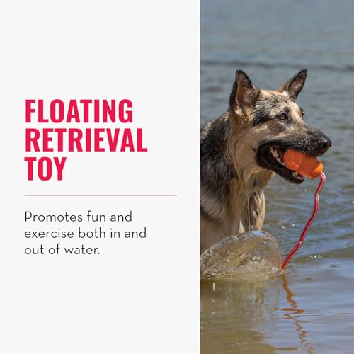 KONG Aqua Fetch Toy for Dogs, Durable Natural Rubber Floating Retrieval Toy, Rope for Long Distance Throw, for Water Play, Training, Chase, Toss, Supports Healthy Exercise, Large - Image 3