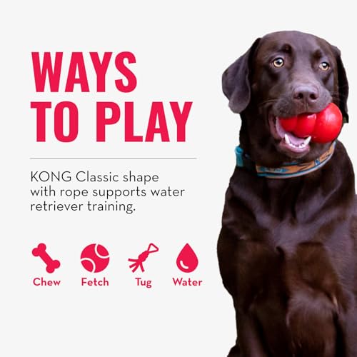 KONG Aqua Fetch Toy for Dogs, Durable Natural Rubber Floating Retrieval Toy, Rope for Long Distance Throw, for Water Play, Training, Chase, Toss, Supports Healthy Exercise, Large - Image 5