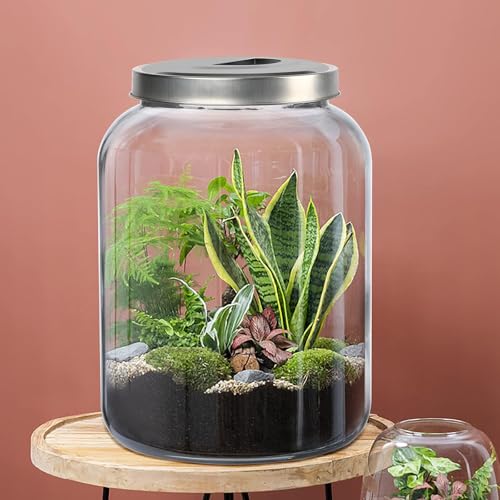 Daitouge Large Glass Jars with Lids, 5.5 Gallon (21000 ML) Glass Canisters - Super Wide Mouth Glass Jar Heavy Duty Glass Storage Jars with Lid for Storing Flour, Rice, Set of 1 - Image 5