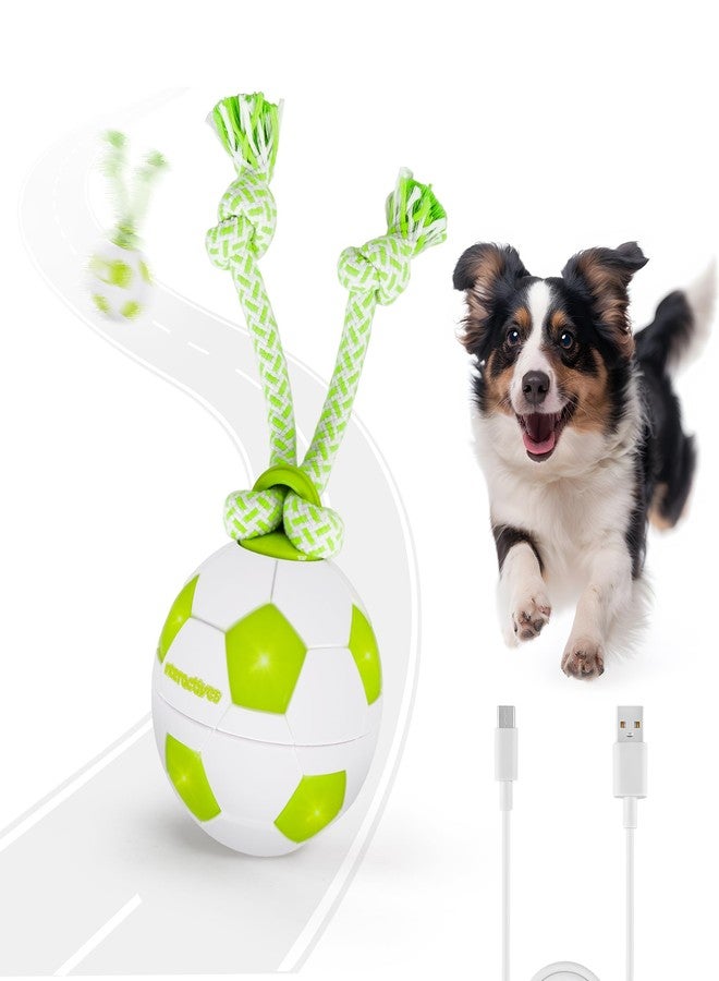 ALL FOR PAWS Interactive Dog Toys, Smart Dog Ball with Durable Rope, Automatic Moving and Rolling Ball Toys for Small Medium Large Dogs, USB Rechargeable - Image 1