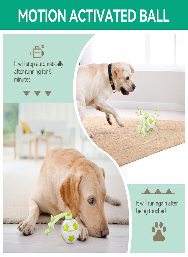 ALL FOR PAWS Interactive Dog Toys, Smart Dog Ball with Durable Rope, Automatic Moving and Rolling Ball Toys for Small Medium Large Dogs, USB Rechargeable - Image 5
