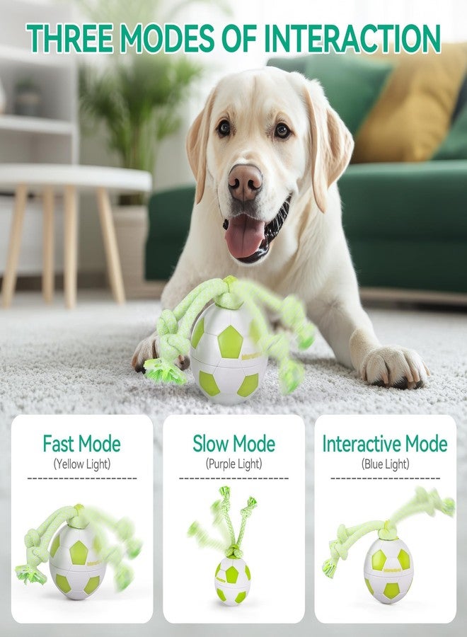 ALL FOR PAWS Interactive Dog Toys, Smart Dog Ball with Durable Rope, Automatic Moving and Rolling Ball Toys for Small Medium Large Dogs, USB Rechargeable - Image 2