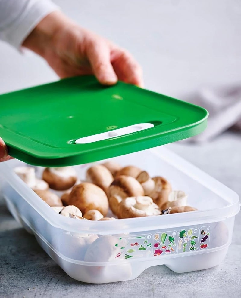 Tupperware Fridgesmart Medium Container  Sheer with Wintergreen Seal - Image 4