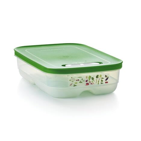 Tupperware Fridgesmart Medium Container  Sheer with Wintergreen Seal - Image 1