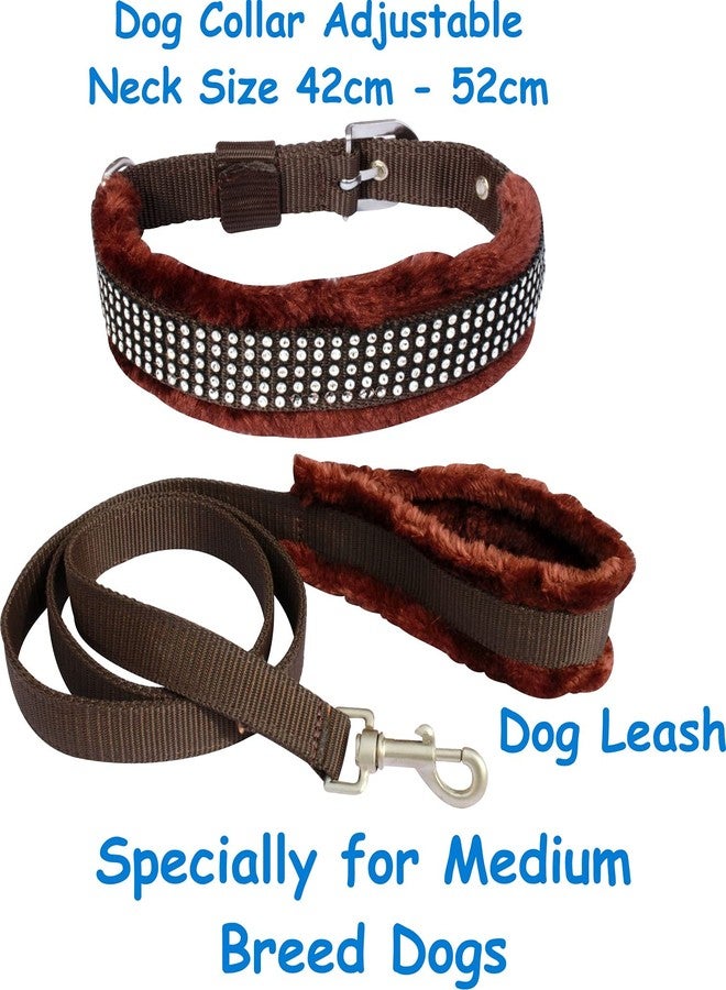Pedigone Dog Belt Combo of Brown Fur Dog Collar & Soft Fur Handle Dog Leash Specially for Medium Breed Dog Collar Leash (Brown Shine) - Image 2