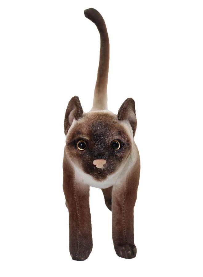 Tickles Tickles Standing Cat Soft Stuffed Plush Animal Toy for Kids Boys & Girls Birthday Gifts (Color: Brown Size: 35 cm)  - Image 3
