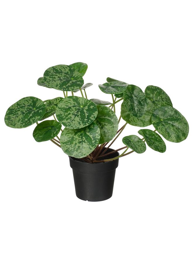 erorex Artificial Potted Plant, In/Outdoor Pilea, 9 Cm - Image 1