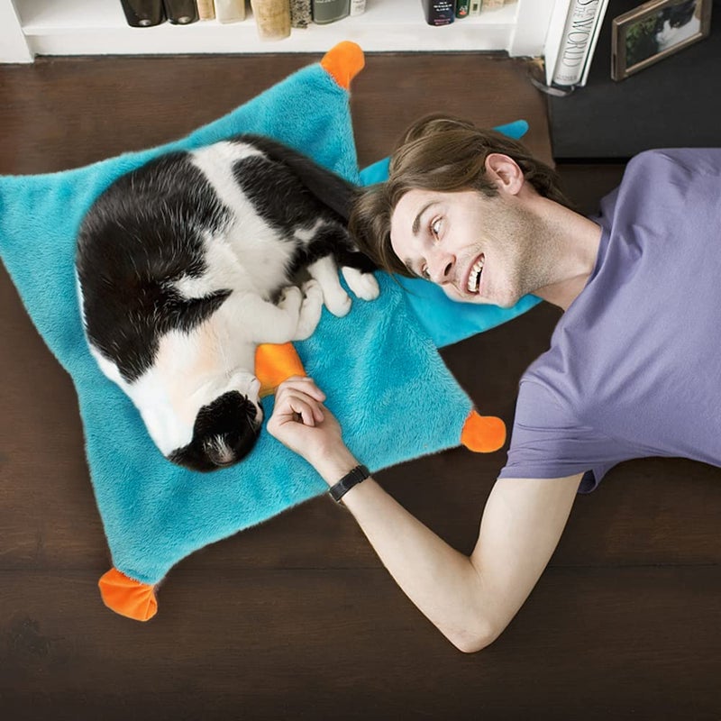 AWOOF Cute Soft Catnip Mat, Interactive Cat Toys for Indoor Cats - Image 4