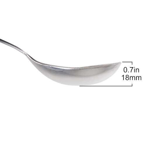 Lindy's Stainless Steel Jar/Serving Spoon, Silver (SC30) - Image 4