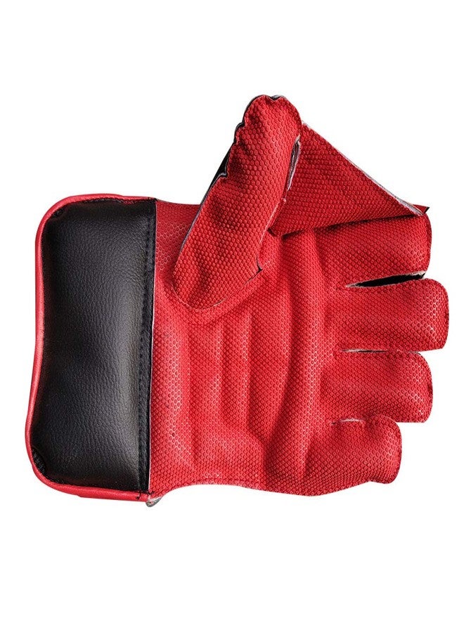 JetFire Wicket Keeping Gloves Wicket Keeping Gloves (L, Red) - Image 5