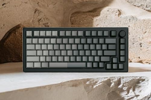 dagaladoo مجموعة مفاتيح PBT مزدوجة الطباعة، مفاتيح مضيئة 75 بالمئة، مفاتيح مخصصة بملف شيري، رمادي داكن متدرج، مفاتيح مطبوعة من الجانبين لأجهزة الكمبيوتر الميكانيكية للألعاب (121 مفتاح، مفاتيح فقط) - Image 5