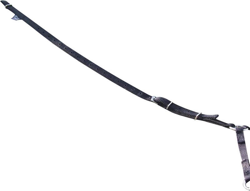 Shires Soft Lunging AID - Image 1